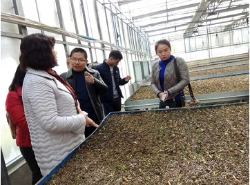 中国民族医药协会一行莅临公司考察