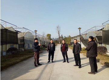 市文明办韩主任一行莅临公司基地考察
