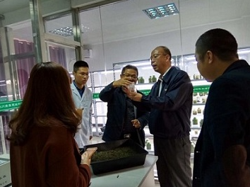 市科技局局长一行来公司白及基地考察