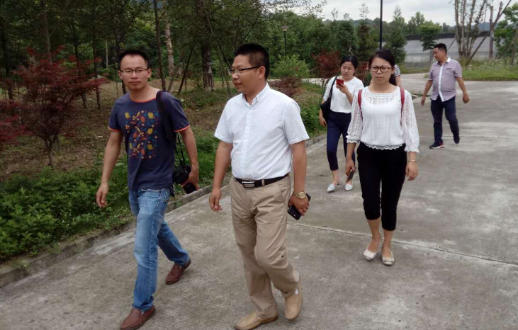 县农业局领导到康养健白芨基地考察