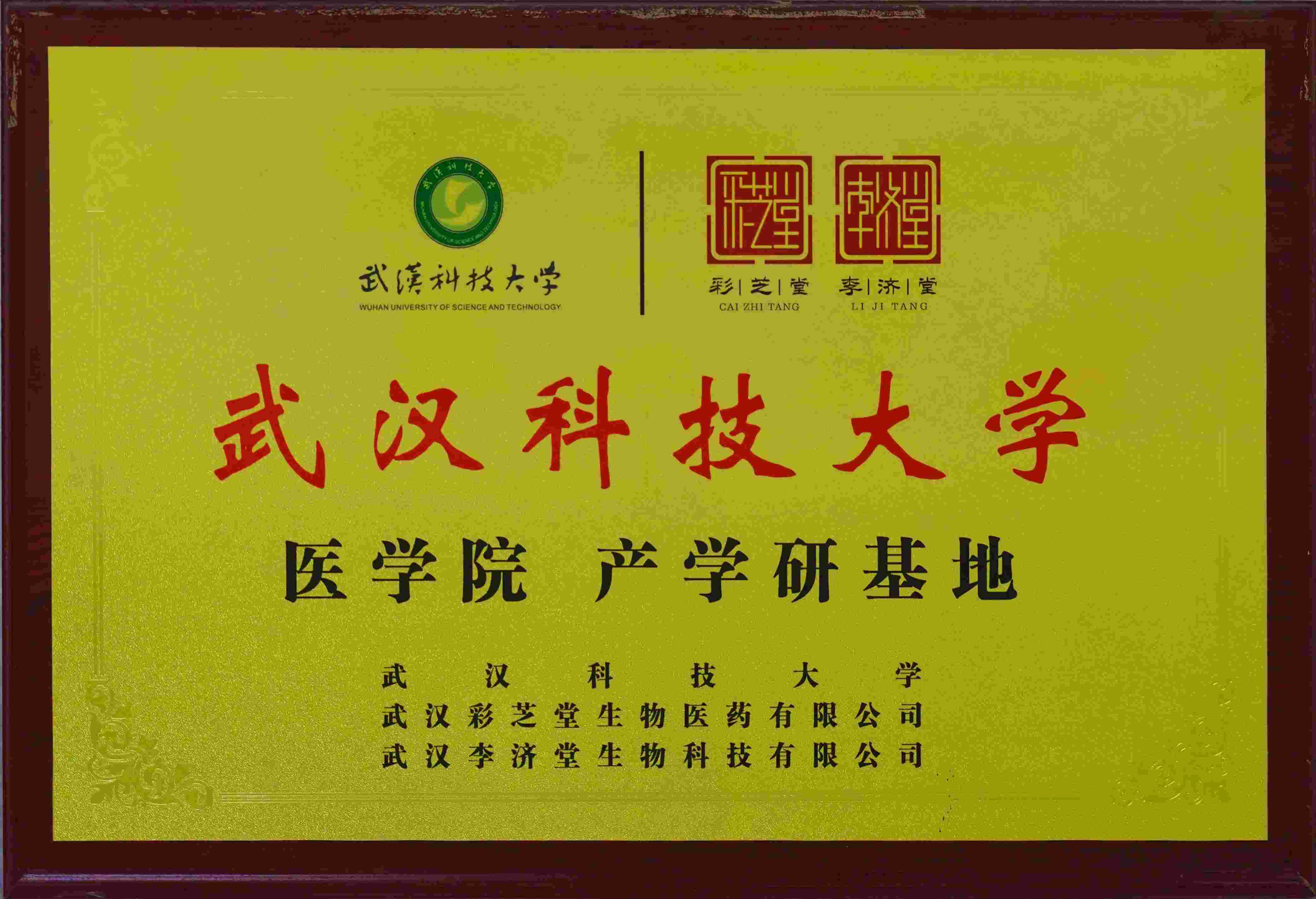 武汉科技大学医学院产学研基地