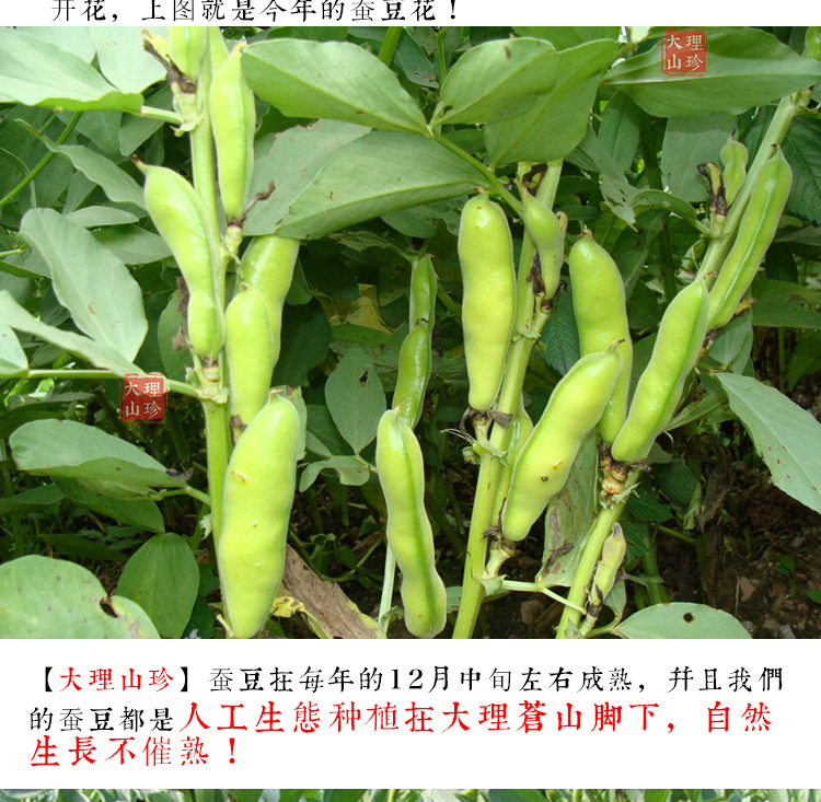 20220301202058_36594.jpg 新版详情页设计1-5.jpg