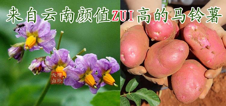 活动图.jpg