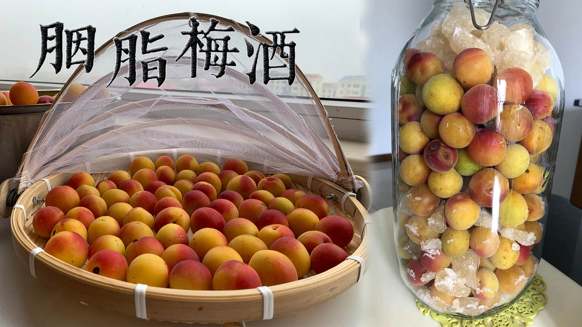 胭脂梅酒海报20230920.jpg