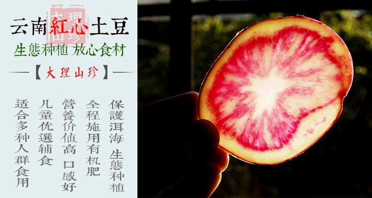 红心土豆轮播图h400.jpg