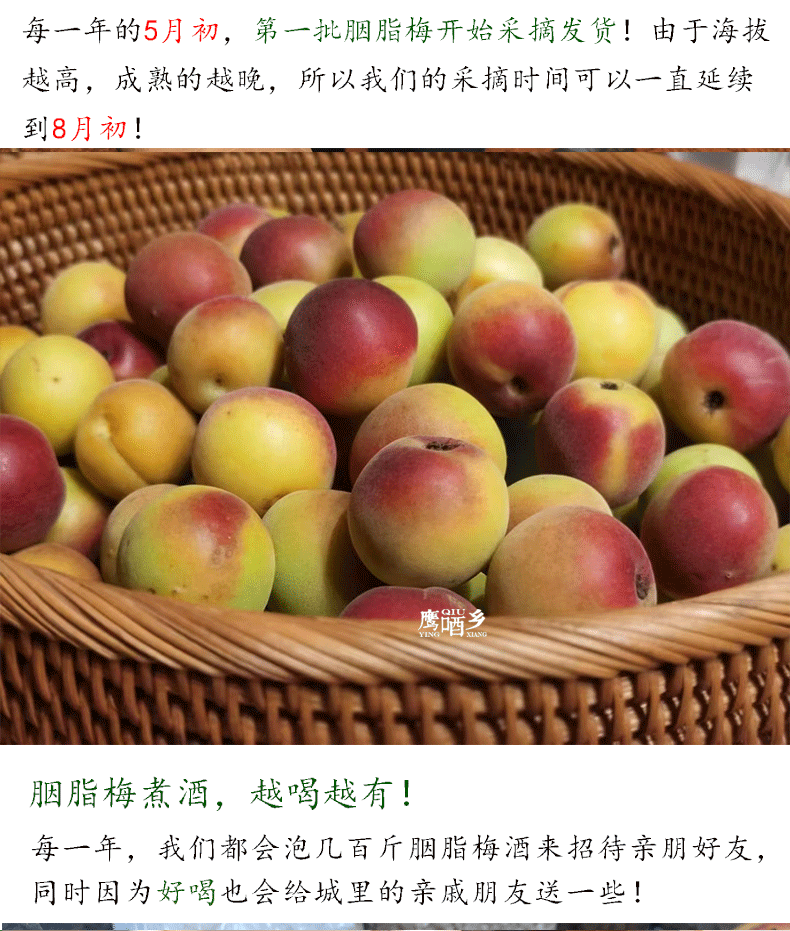 20250228111205_84499.png 详情页设计_04.png