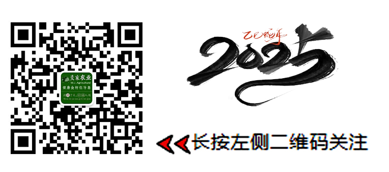 20250311163704_55525.jpg