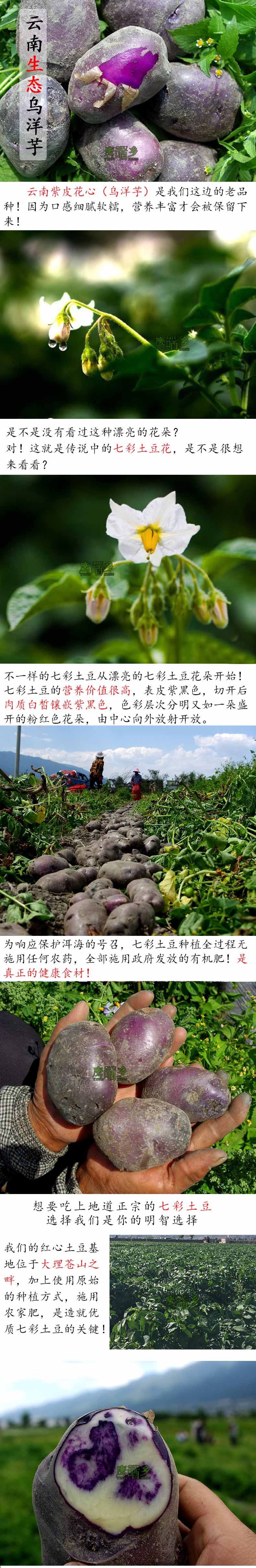 详情页设计.jpg