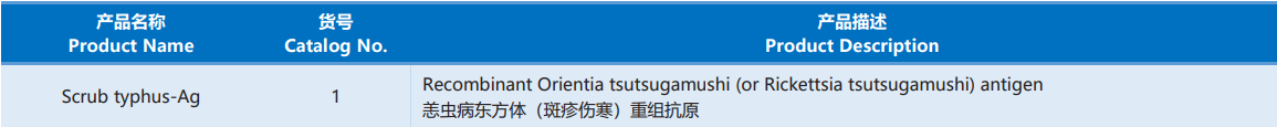 Orientia_Tsutsugamushi.png