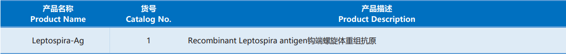 Leptospira.png