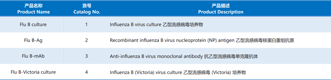 Influenza_B.png