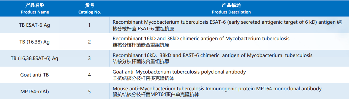 Mycobacterium_Tuberculosis.png