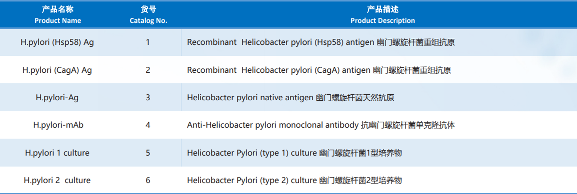 Helicobacter_Pylori.png