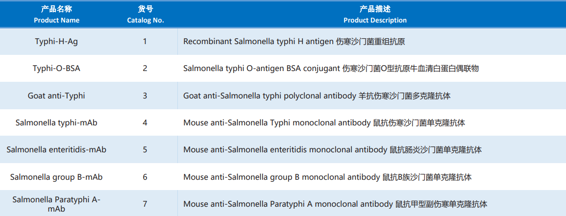 Salmonella_Typhi.png