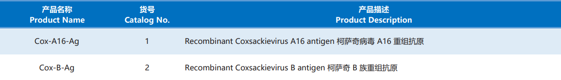 Coxsackievirus.png