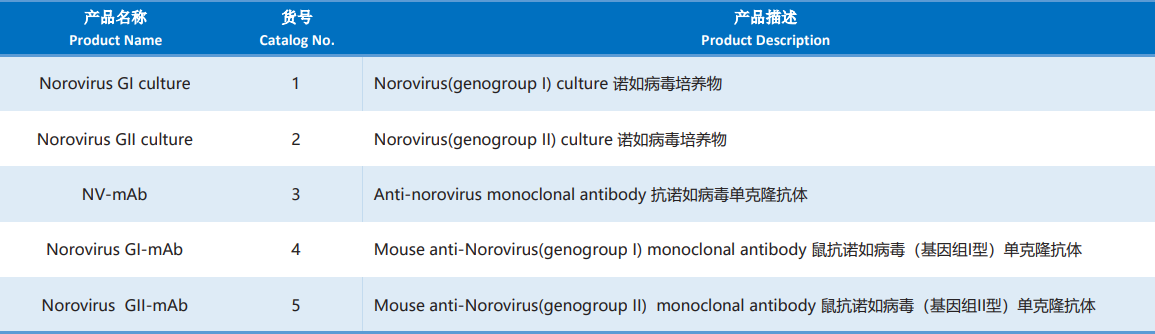 Norovirus.png