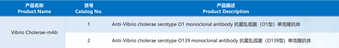 Vibrio_Cholerae.png