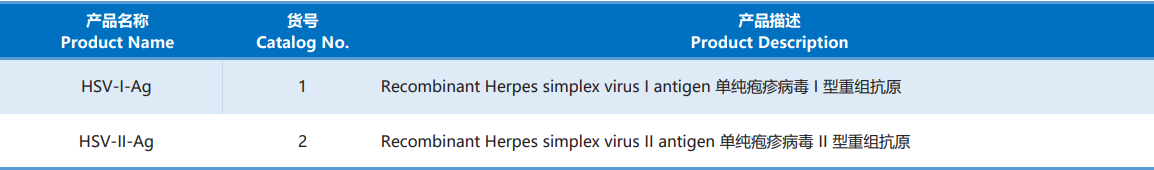 Herpes_Simplex_Virus.png