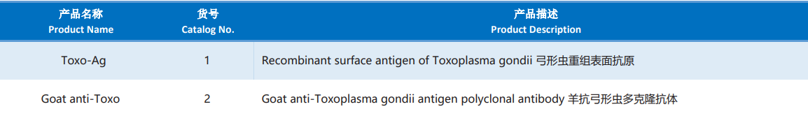 Toxoplasma_Gondii.png