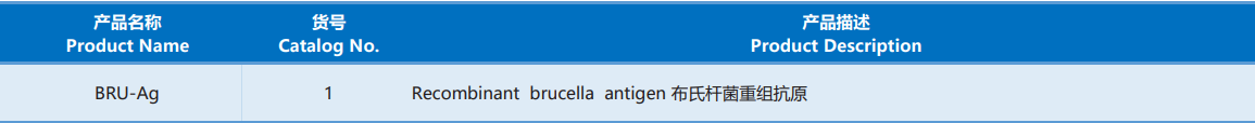 Brucella.png