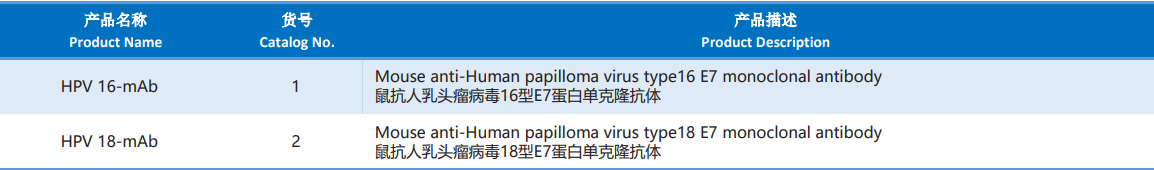 Human_Papilloma_Virus.png