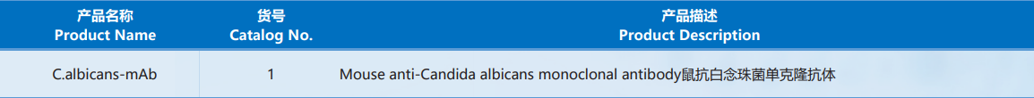 Candida_Albicans.png