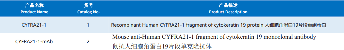 Cytokeratin_19_Fragment.png