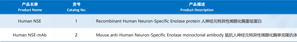 Human_Neuron-Specific_Enolase.png