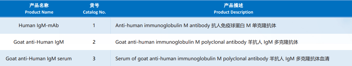 M_Human_IgM.png