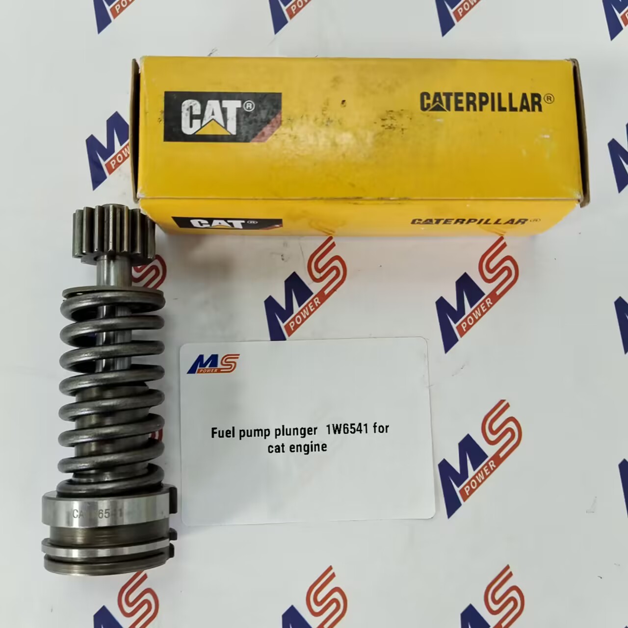 Diesel Fuel Injection Plunger 1W6541 for Caterpillar