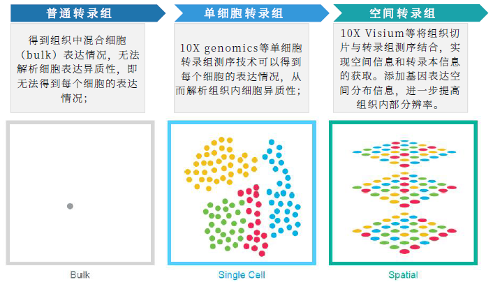 15-2.png