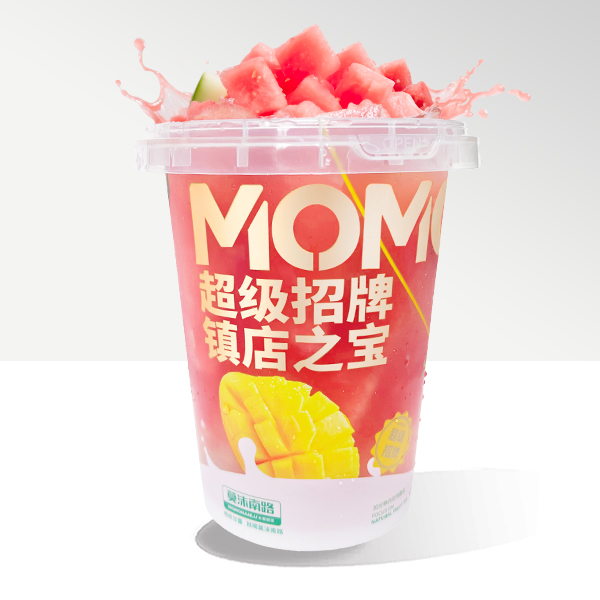 多肉西瓜桶