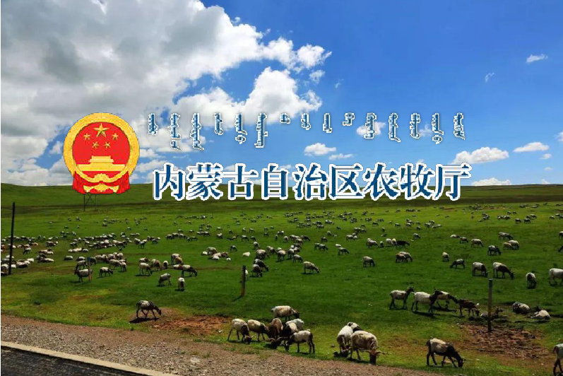 内蒙古自治区农牧厅