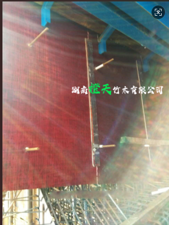 20250206164440_70895.png image.png