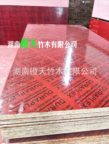 20260908114619_26051.png image.png