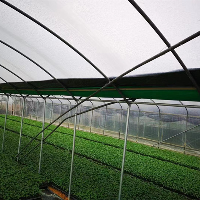 科技化蔬菜育苗大棚