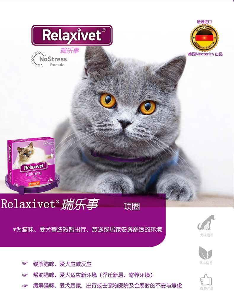 项圈_01.jpg