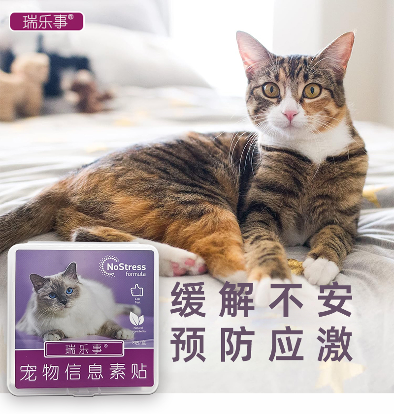 详情页_01.jpg