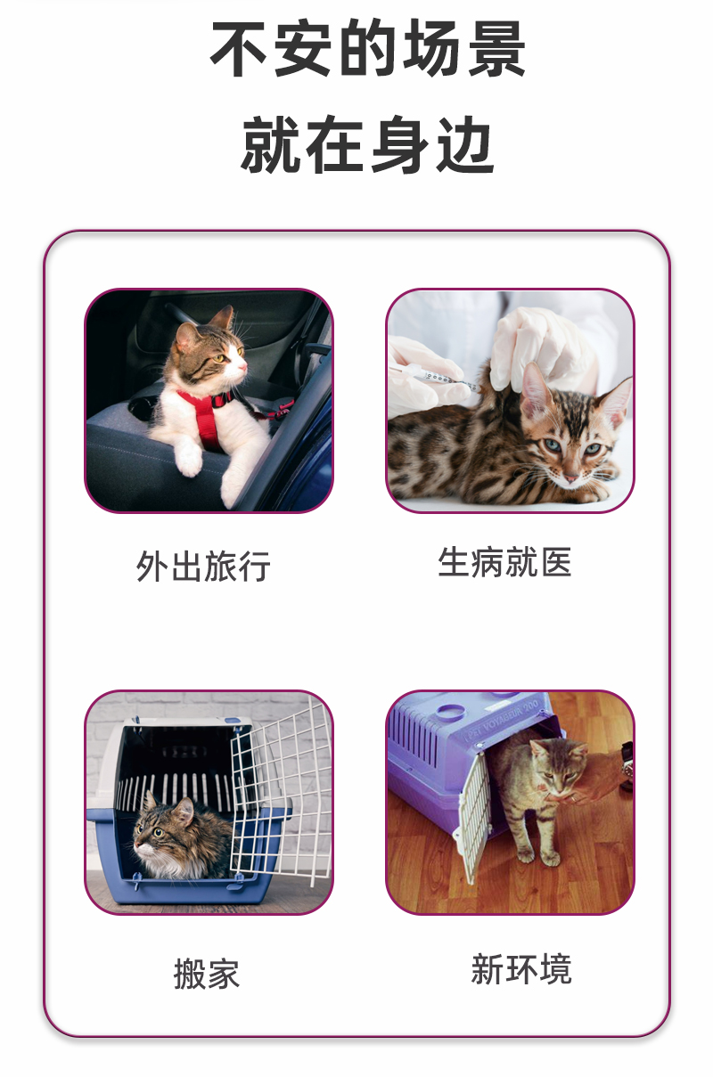 详情页_02.jpg