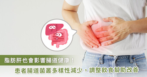 不只是肝的問題！調(diào)整腸道菌叢生態(tài)也能改善脂肪肝