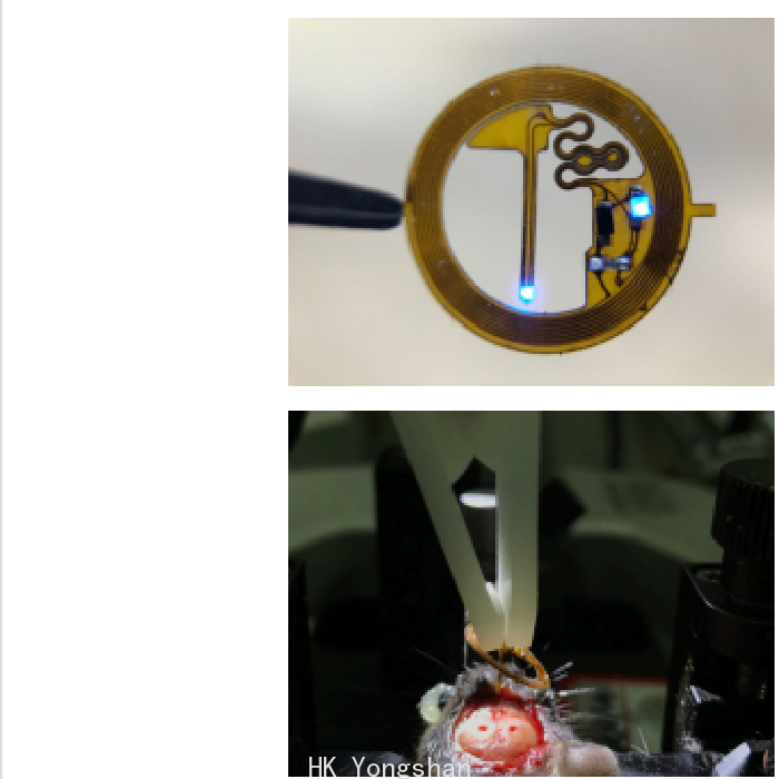 无标题1.png