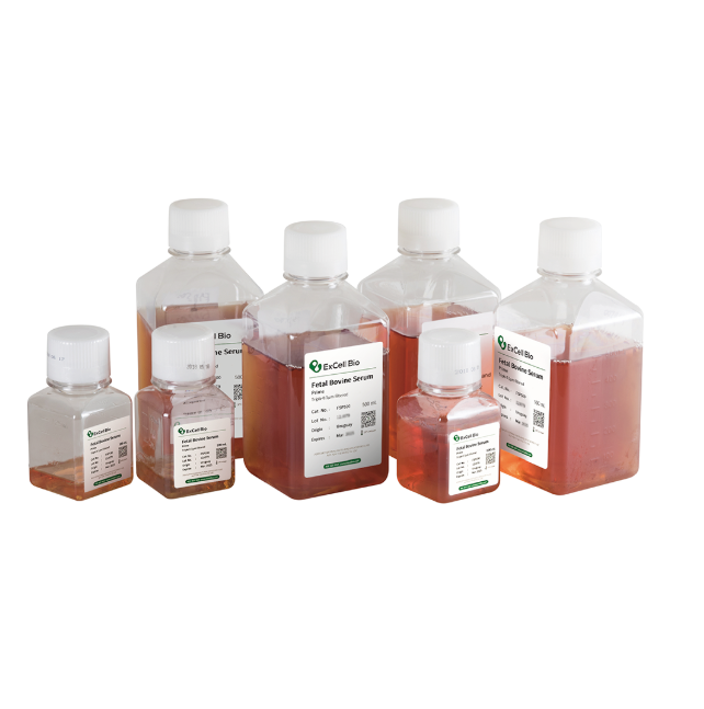 Fetal Bovine Serum(南美乌拉圭)
