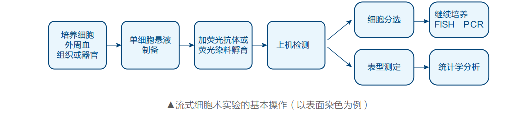20220510004517_36866.png 图片2.png