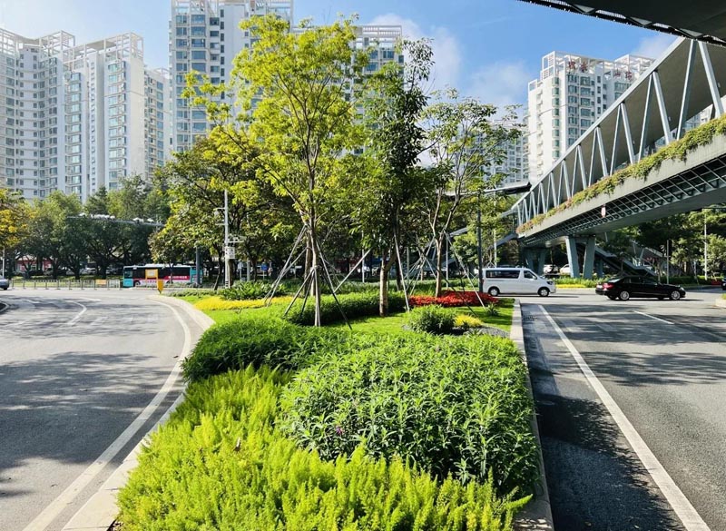 道路绿化工程