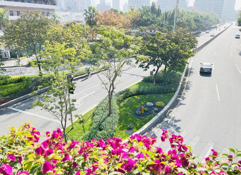 道路绿化工程