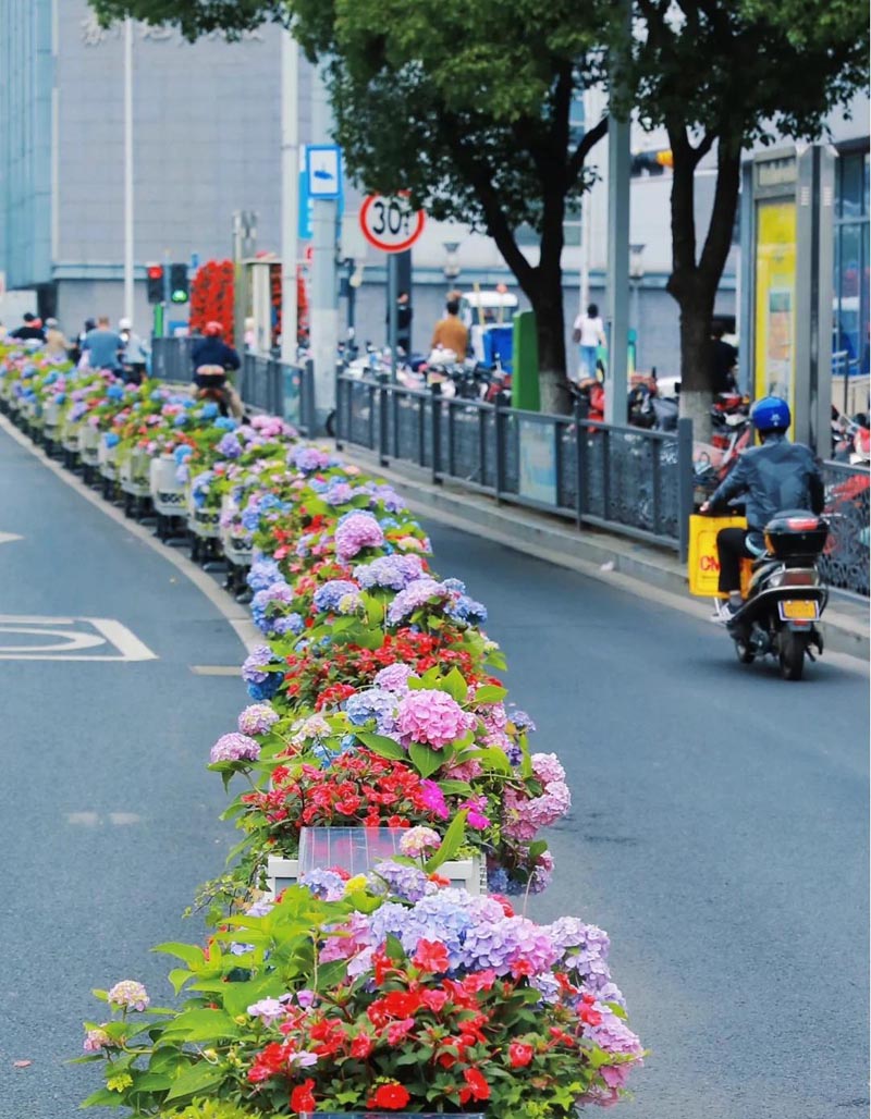 户外花箱