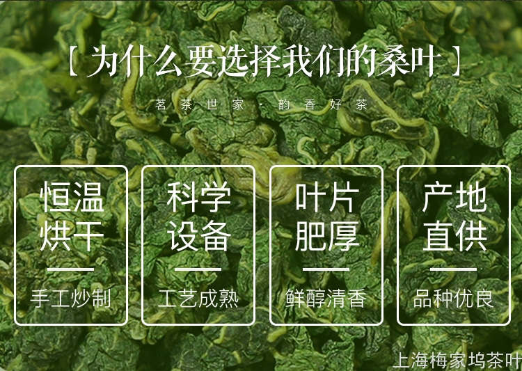 886097-桑叶茶680g-750-V1_03.jpg
