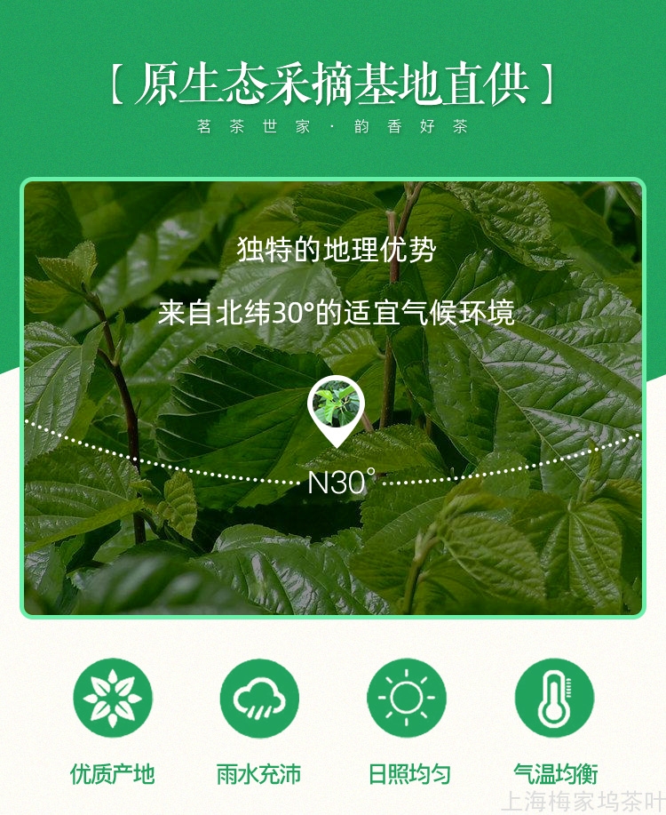 886097-桑叶茶680g-750-V1_08.jpg