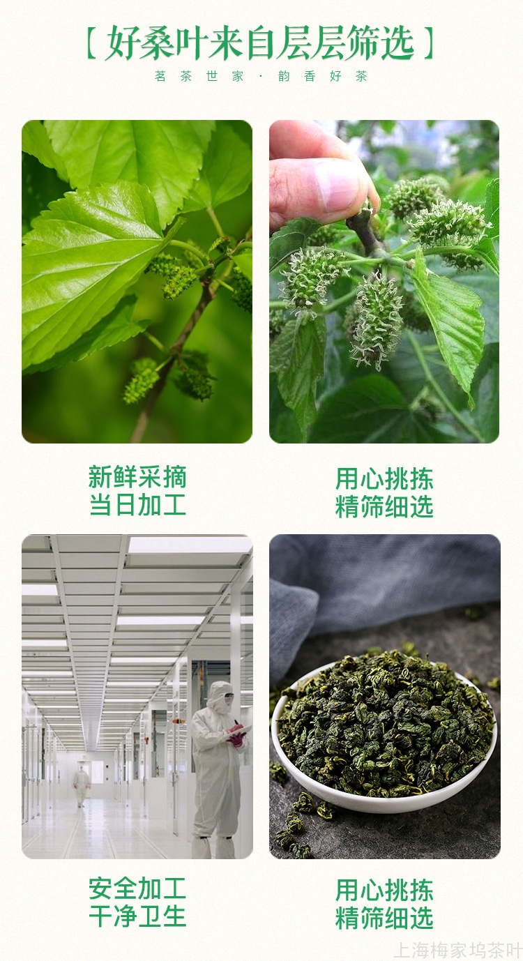 886097-桑叶茶680g-750-V1_09.jpg