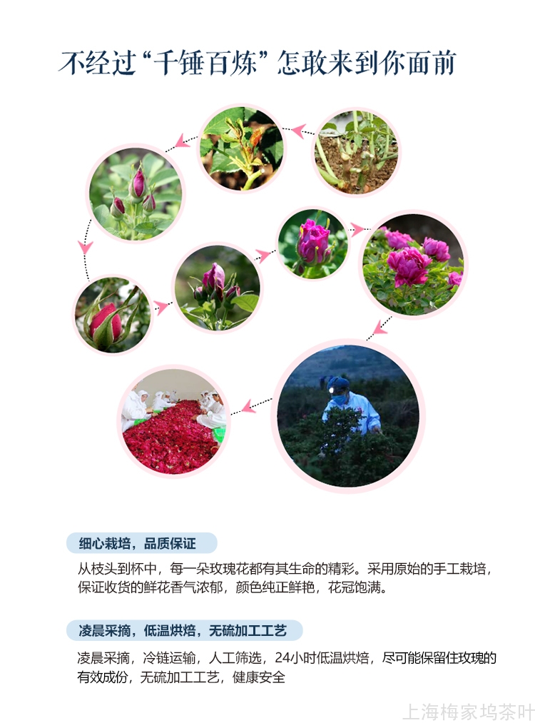 玫瑰花冠-双罐_04.jpg